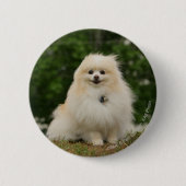 Pomeraningsvergadering Ronde Button 5,7 Cm (Voorkant)