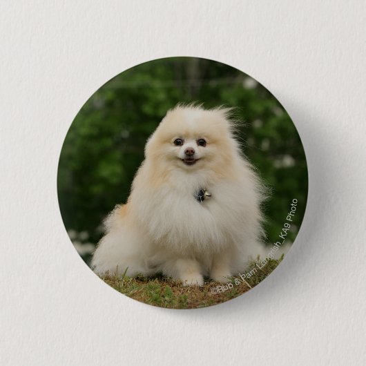 Pomeraningsvergadering Ronde Button 5,7 Cm (Voorkant)