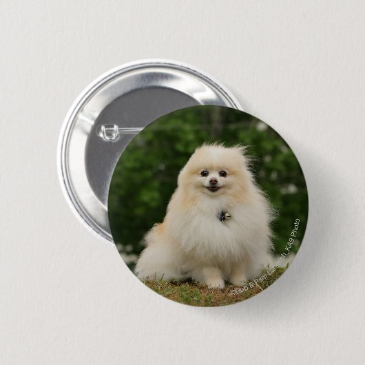 Pomeraningsvergadering Ronde Button 5,7 Cm (Voorkant /achterkant)