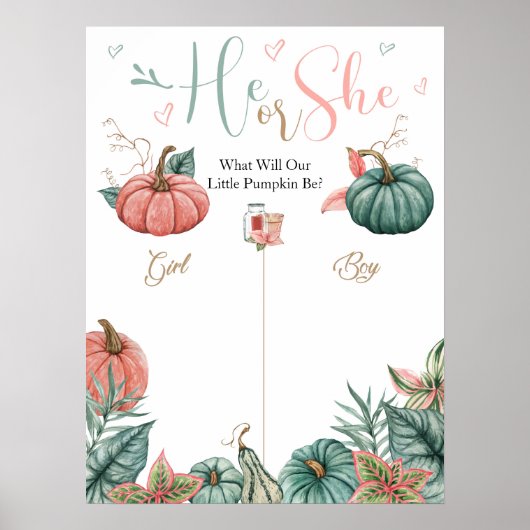 Pomkin Gender Reopenbaart stembord Poster (Voorkant)