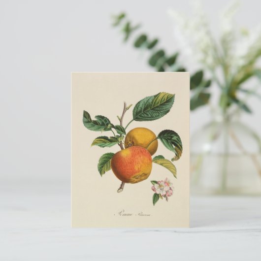 Pomme Princesse briefkaart (Staand voorkant)