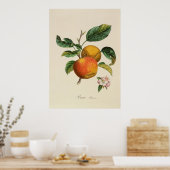 Pomme Princesse Poster (Keuken)
