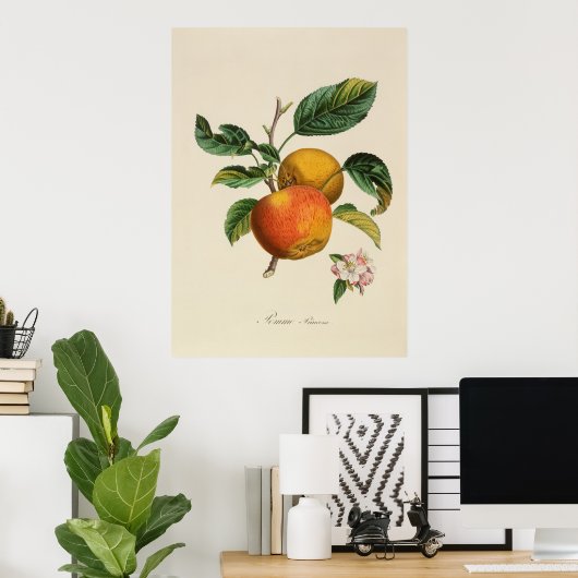 Pomme Princesse Poster (Thuiskantoor)