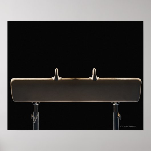 Pommel Poster (Voorkant)