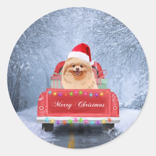 Pommeraanse hond op sneeuw in kerstmis ronde sticker (Voorkant)