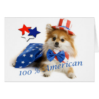 Pommeren 100 procent Amerikaans