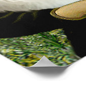 Pommeren 3 - Mona Lisa Poster (Hoek)