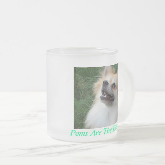 Pommeren Bevroren Mok (Voorkant rechts)