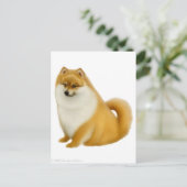 Pommeren Briefkaart (Staand voorkant)