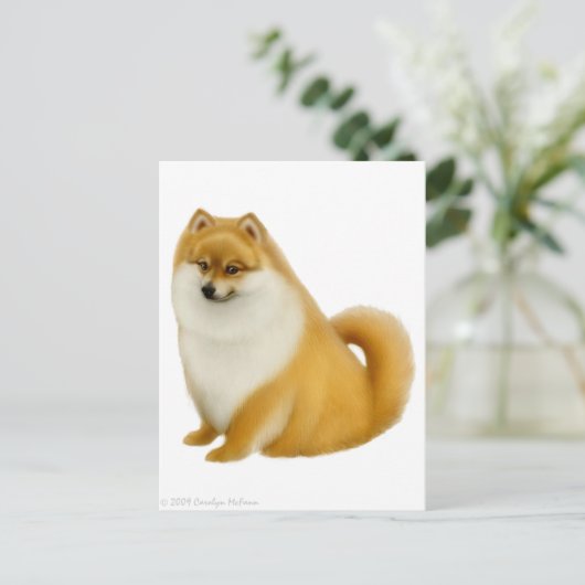 Pommeren Briefkaart (Staand voorkant)