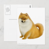 Pommeren Briefkaart (Voorkant / Achterkant)