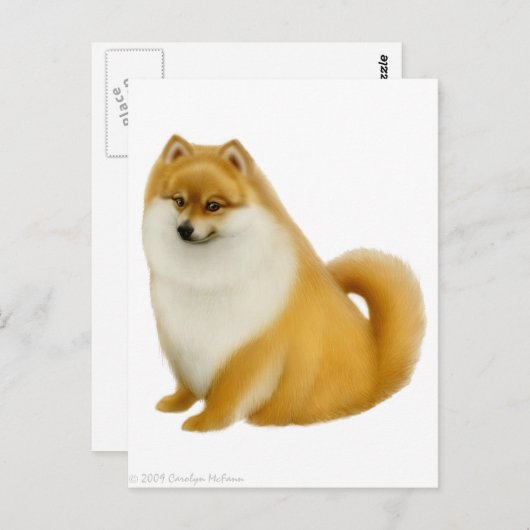 Pommeren Briefkaart (Voorkant / Achterkant)