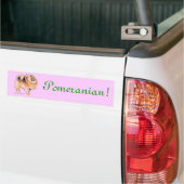 Pommeren! Bumpersticker (Op Truck)