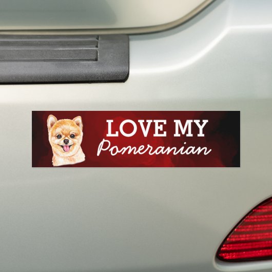 Pommeren Bumpersticker (Op auto)