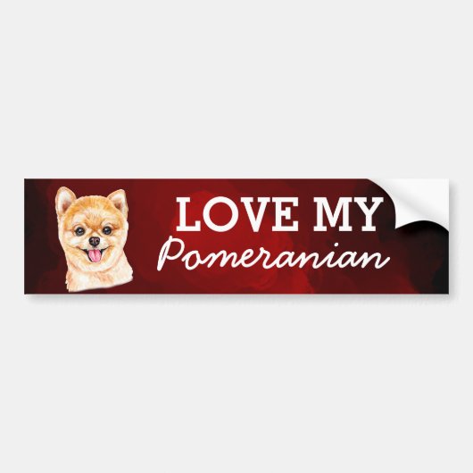 Pommeren Bumpersticker (Voorkant)