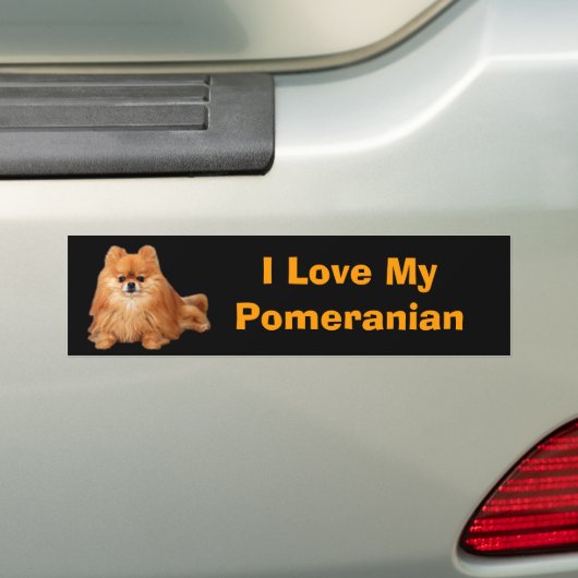 Pommeren Bumpersticker (Op auto)