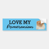 Pommeren-bumpersticker Bumpersticker (Voorkant)