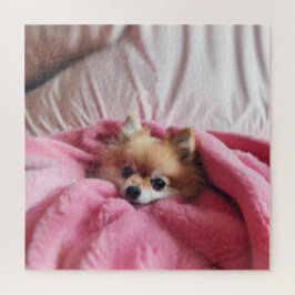 Pommeren Companion Pink Legpuzzel