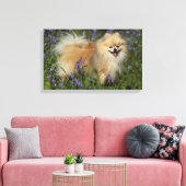 Pommeren die naar camera kijken in de Bluebells Canvas Afdruk (Insitu (Woonkamer))