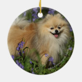 Pommeren die naar camera kijken in de Bluebells Keramisch Ornament (Achterkant)