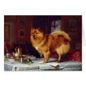 - Pommeren Dog & Breakfast Table (Voorkant Horizontaal)