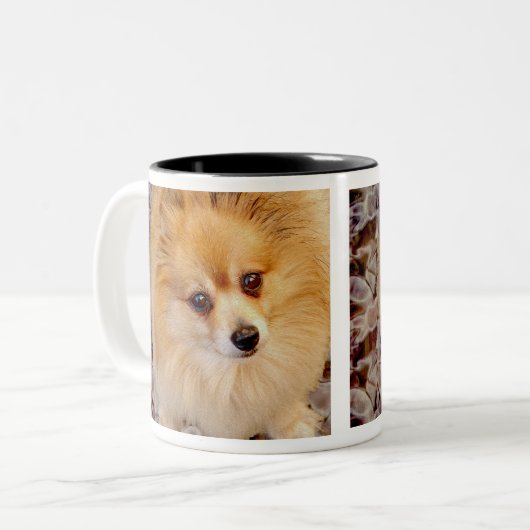 Pommeren Dog Coffee-Mok Tweekleurige Koffiemok (Voorkant links)