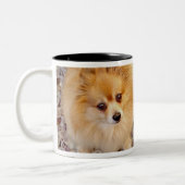 Pommeren Dog Coffee-Mok Tweekleurige Koffiemok (Links)
