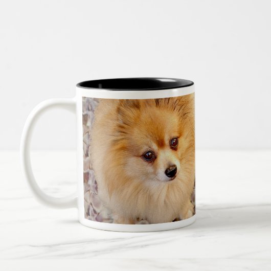 Pommeren Dog Coffee-Mok Tweekleurige Koffiemok (Links)