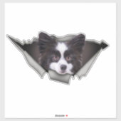 Pommeren Dog decal Dog stickers Pommeren (Vel)