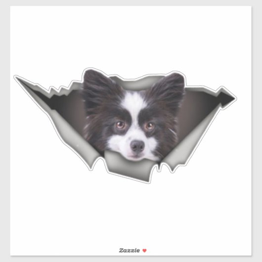 Pommeren Dog decal Dog stickers Pommeren (Vel)