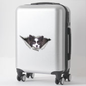 Pommeren Dog decal Dog stickers Pommeren (Koffer)