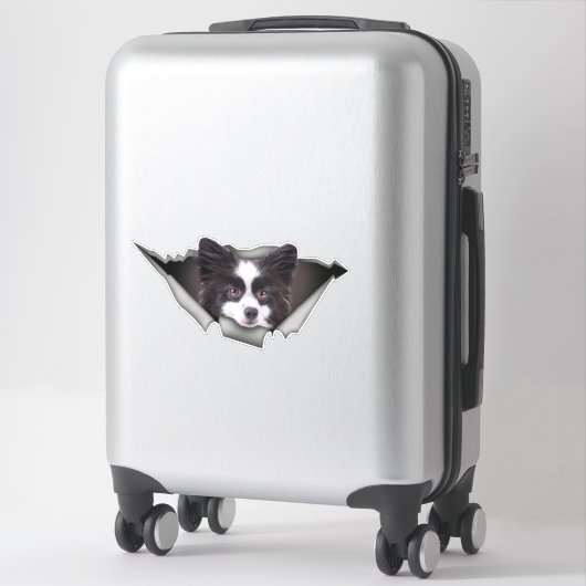 Pommeren Dog decal Dog stickers Pommeren (Koffer)