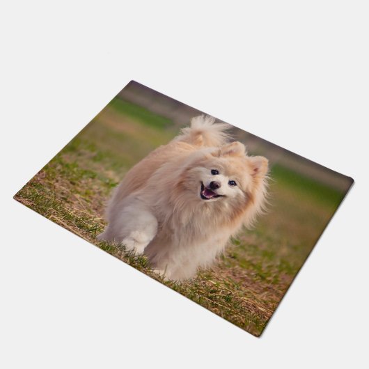 Pommeren Dog. Deurmat (Schuin)