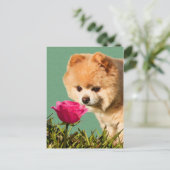 Pommeren Dog en Roos Briefkaart (Staand voorkant)
