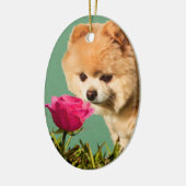 Pommeren Dog en Roos Ornament (Links)