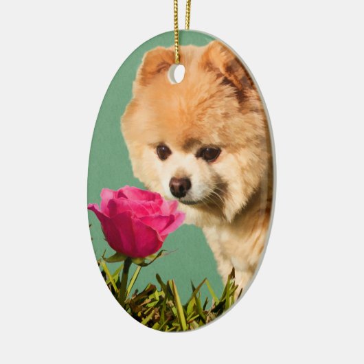 Pommeren Dog en Roos Ornament (Links)