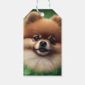 Pommeren Dog in St. Patrick's Day Dress Cadeaulabel (Achterkant)