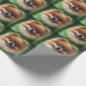 Pommeren Dog in St. Patrick's Day Dress Cadeaupapier (Hoek)