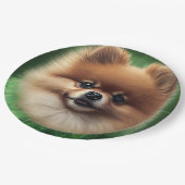 Pommeren Dog in St. Patrick's Day Dress Papieren Bordje (Gekanteld)