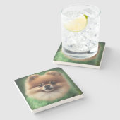 Pommeren Dog in St. Patrick's Day Dress Stenen Onderzetter (Zijkant)