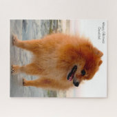 Pommeren Dog. Legpuzzel (Horizontaal)