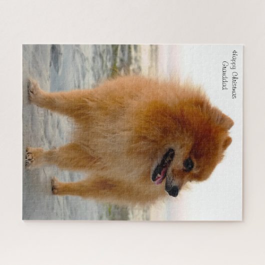 Pommeren Dog. Legpuzzel (Horizontaal)