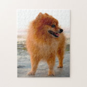 Pommeren Dog. Legpuzzel (Verticaal)