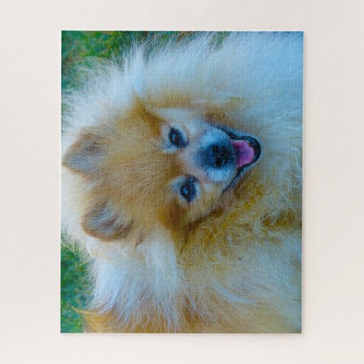 Pommeren Dog. Legpuzzel (Verticaal)