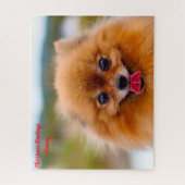 Pommeren Dog. Legpuzzel (Verticaal)