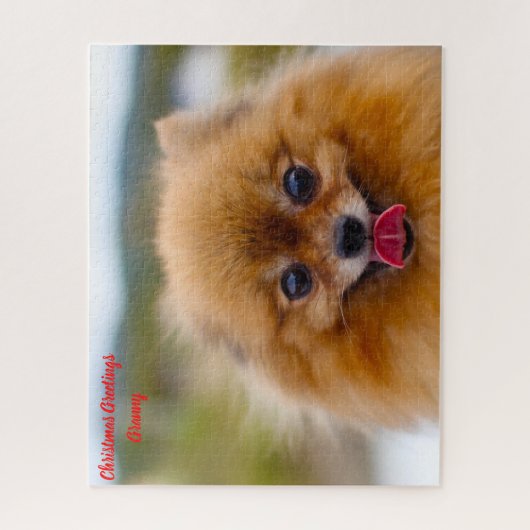 Pommeren Dog. Legpuzzel (Verticaal)