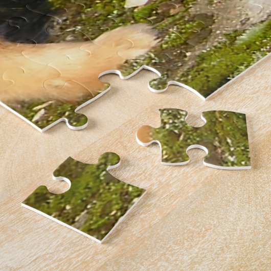 Pommeren Dog. Legpuzzel (Zijkant)