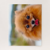 Pommeren Dog. Legpuzzel (Verticaal)