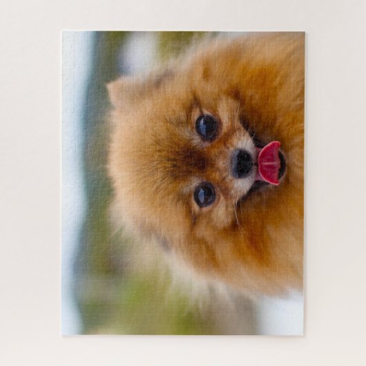 Pommeren Dog. Legpuzzel (Verticaal)