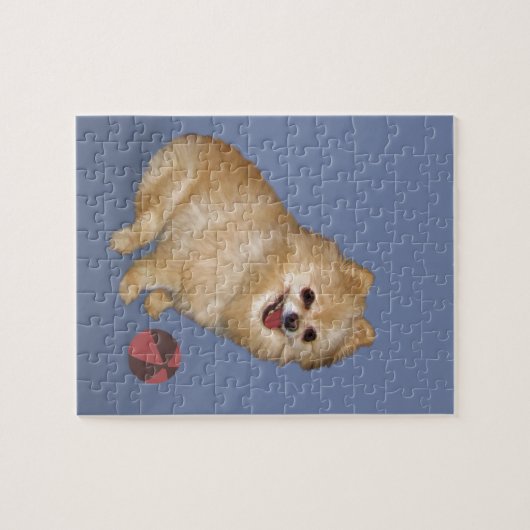Pommeren Dog met Ball Legpuzzel (Horizontaal)
